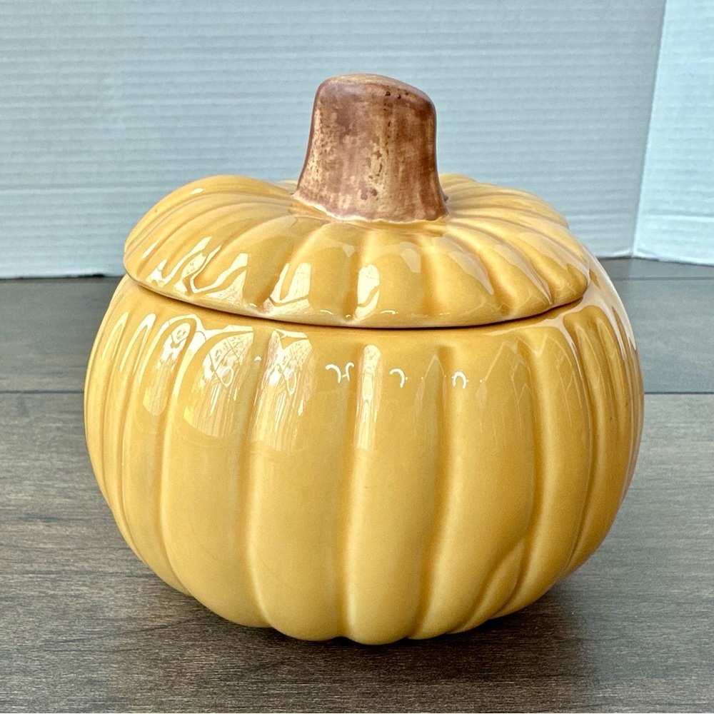 Williams Sonoma Harvest Pumpkin Individual Soup Bowl with matching Lid